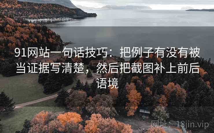91网站一句话技巧：把例子有没有被当证据写清楚，然后把截图补上前后语境
